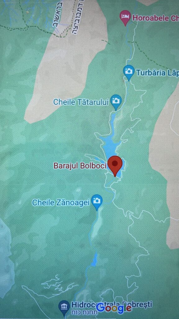 bolboci