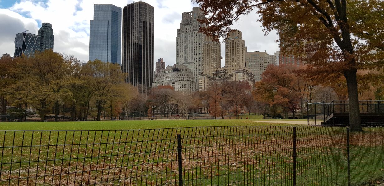 סנטרל פארק ניו יורק סנטרל פארק ניו יורק