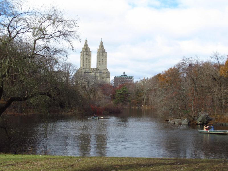 סנטרל פארק ניו יורק סנטרל פארק ניו יורק